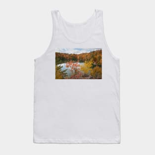 Overlooking Pink Lake Tank Top